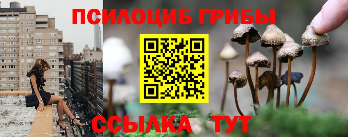 Псилоцибиновые грибы мицелий  Вход с VPN  Обнинск 
